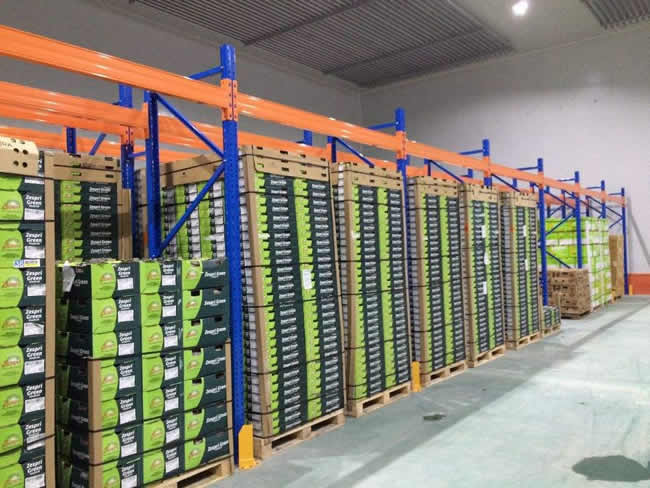 桃、李、杏水果儲存保鮮冷庫建造及造價